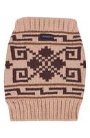 Pendleton The Big Lebarkski Dog Sweater at Nordstrom, Size Large