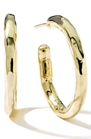 Ippolita Classico Hoop Earrings in Gold at Nordstrom