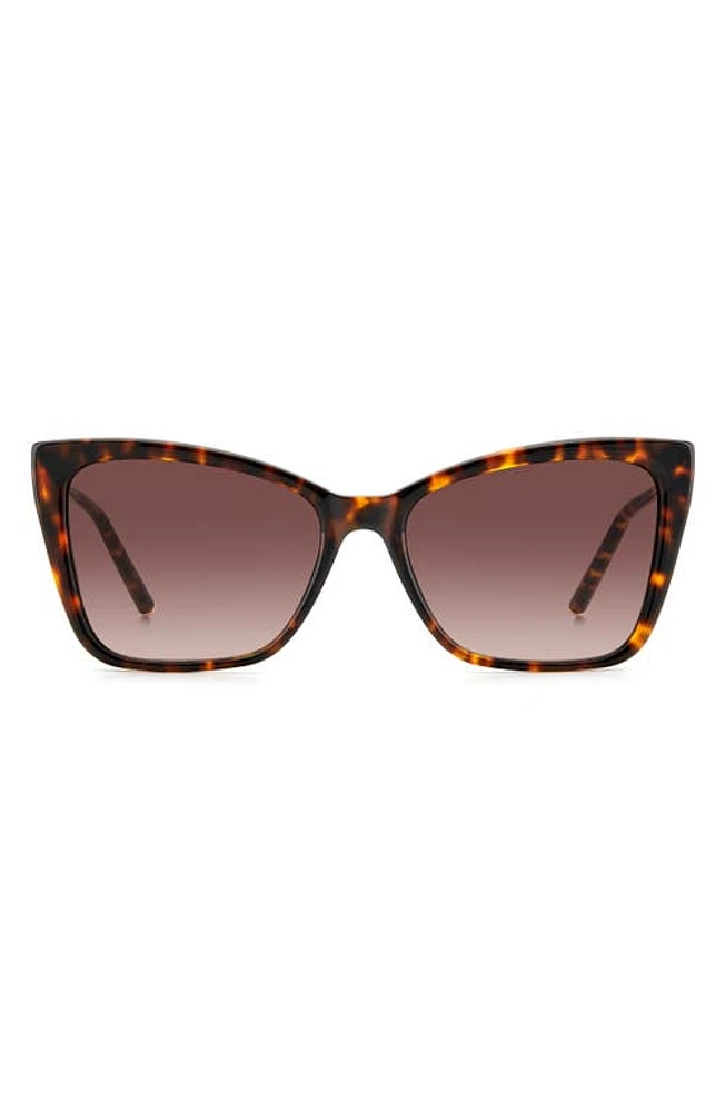 Carolina Herrera 57mm Cat Eye Sunglasses in Havana Gold/Brown Gradient at Nordstrom