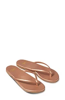 Beek Sunbeam Flip Flop at Nordstrom,