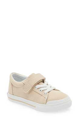 Footmates Jordan Sneaker Stone at Nordstrom, M