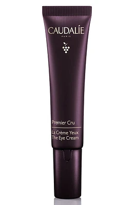 CAUDALÍE Premier Cru Dark Circle Correcting Eye Cream at Nordstrom