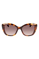 Longchamp Roseau 54mm Butterfly Sunglasses in Havana at Nordstrom