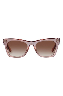 AIRE Bellatrix 48mm Gradient Small Cat Eye Sunglasses in Biscuit at Nordstrom