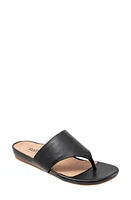 SoftWalk Chandler Sandal Black at Nordstrom,