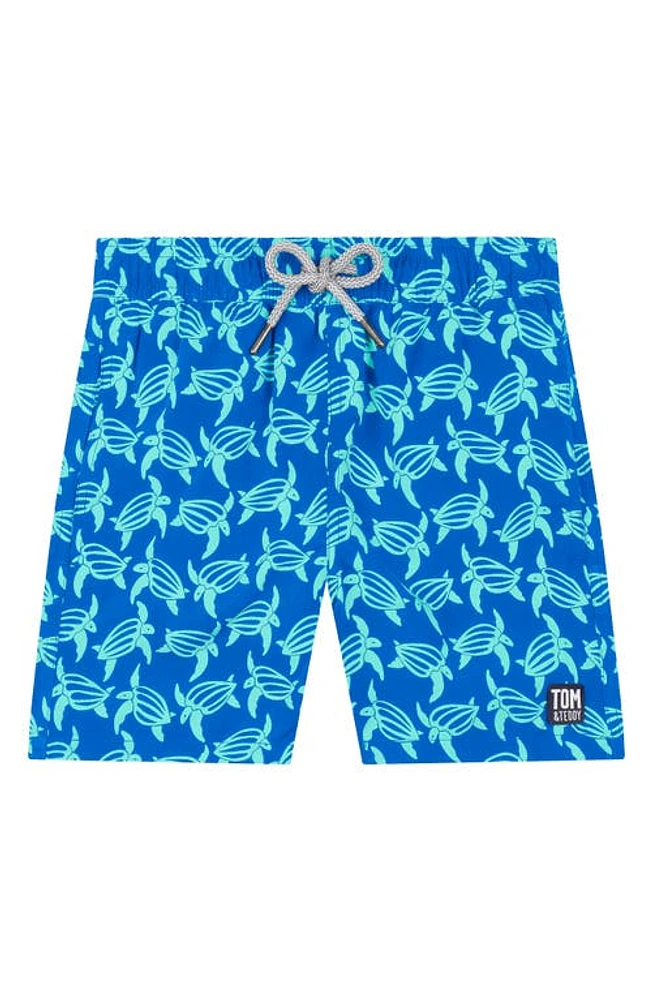 Tom & Teddy Kids' Turtle Print Swim Trunks Blue Ice Green at Nordstrom,