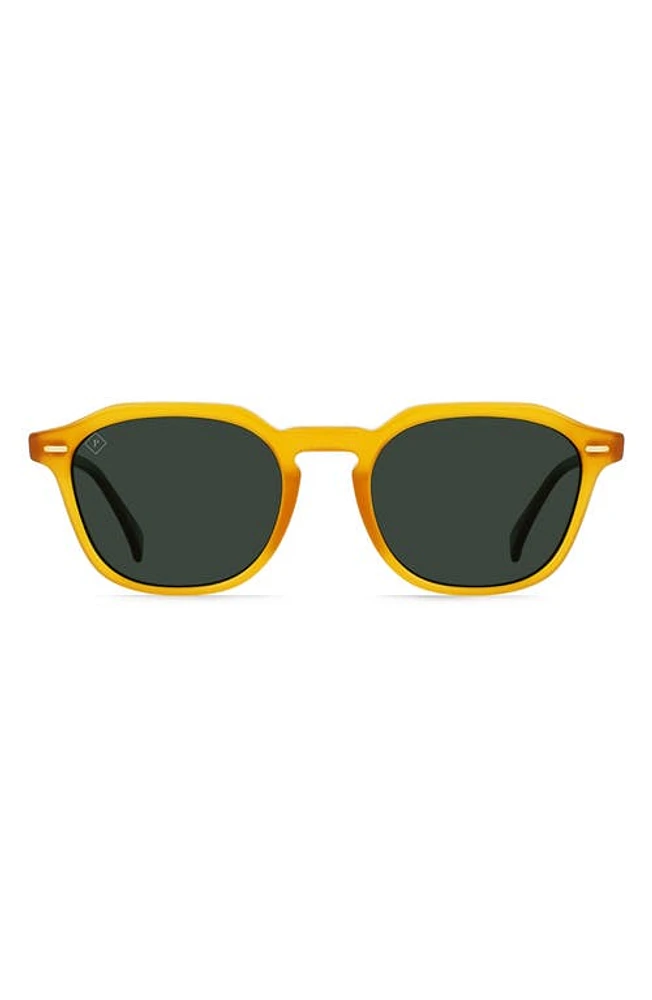 RAEN Clyve 52mm Polarized Round Sunglasses in Honey/Green Polarized at Nordstrom