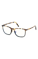 TOM FORD 53mm Blue Light Blocking Glasses in Havana/Other/Blue Block Lens at Nordstrom