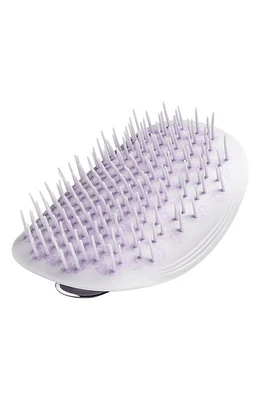 Virtue Flourish Manta Brush at Nordstrom