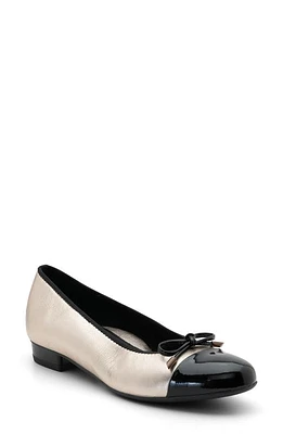 ara Belinda Ballet Flat in Black Platinum at Nordstrom, Size 7.5