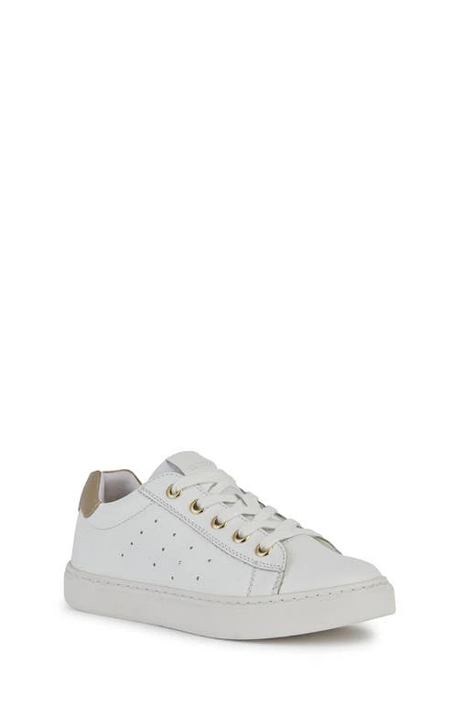 Geox Nashik Waterproof Low Top Sneaker White at Nordstrom,