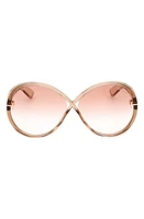 TOM FORD Edie 64mm Oversize Round Sunglasses in Shiny Champagne /Bordeaux at Nordstrom