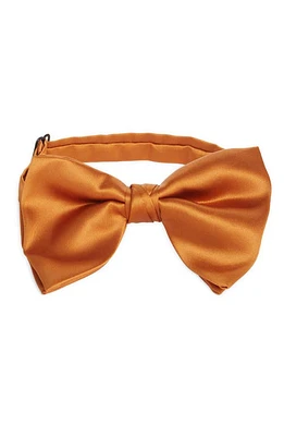 CLIFTON WILSON Silk Butterfly Bow Tie in Copper at Nordstrom