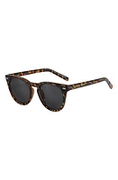 Fifth & Ninth Raleigh 55mm Round Sunglasses in Torte/Black at Nordstrom