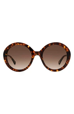 Kate Spade New York zya 55mm gradient round sunglasses in Havana/Brown Gradient at Nordstrom