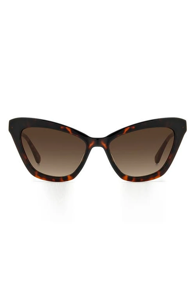 Kate Spade New York amelie 54mm gradient cat eye sunglasses in Havana /Brown at Nordstrom