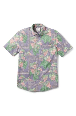 Reyn Spooner x Eddy Y Tailored Fit Tapa Anthurium Print Short Sleeve Button-Down Shirt at Nordstrom,