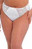 Elomi Morgan Full Figure Briefs at Nordstrom,