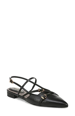 Circus NY by Sam Edelman Lindley Pointed Toe Slingback Sandal Black at Nordstrom