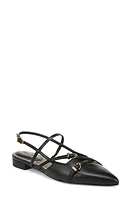 Circus NY by Sam Edelman Lindley Pointed Toe Slingback Sandal Black at Nordstrom