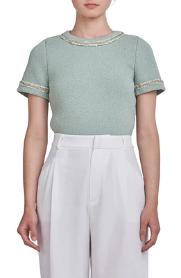 Endless Rose Chain Accent Knit Top Sage at Nordstrom,