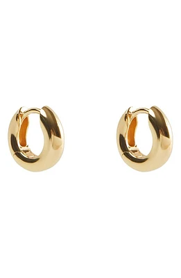 Argento Vivo Sterling Silver Small Chubby Huggie Hoop Earrings in Gold at Nordstrom