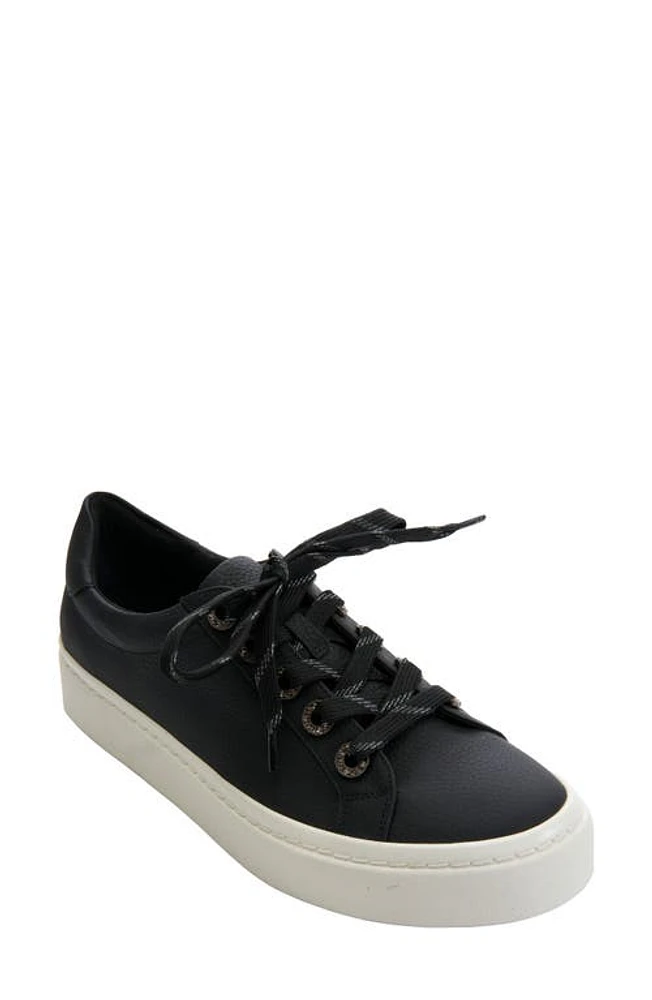 VANELi Ysenia Sneaker Black at Nordstrom,