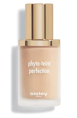 Sisley Paris Phyto-Teint Perfection Foundation in 1N Ivory at Nordstrom, Size 1 Oz