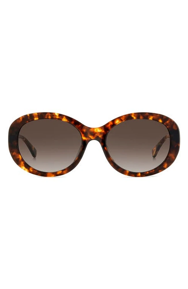 Kate Spade New York avah 56mm gradient round sunglasses in Havana/Brown Gradient at Nordstrom