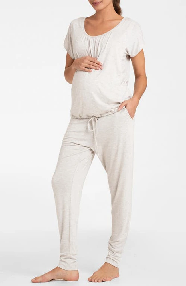 Seraphine Short Sleeve Maternity/Nursing Longewear Set in Oatmeal at Nordstrom, Size Medium