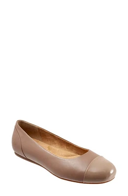 SoftWalk Sonoma Cap Toe Flat Taupe Leather at Nordstrom,