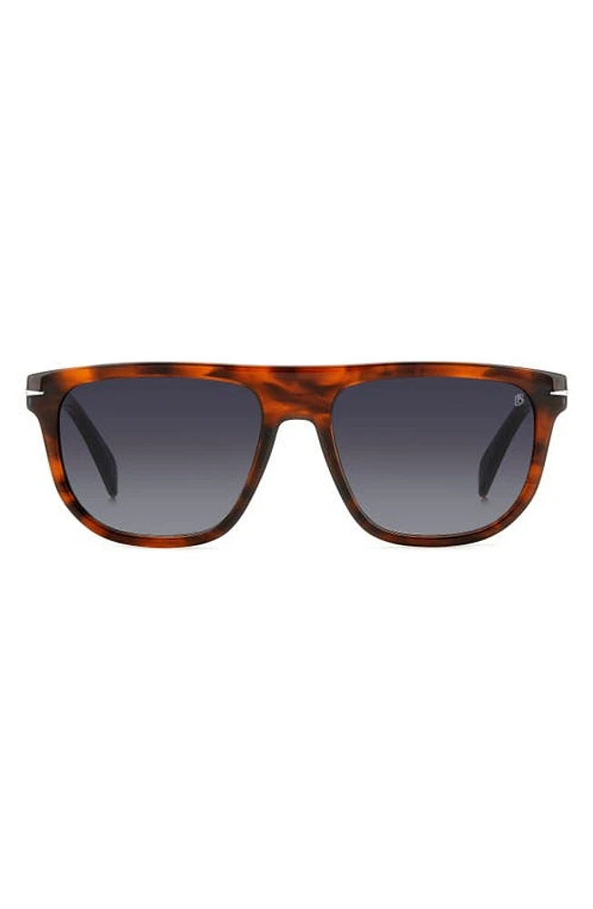 David Beckham Eyewear 56mm Square Sunglasses in Brown Horn at Nordstrom