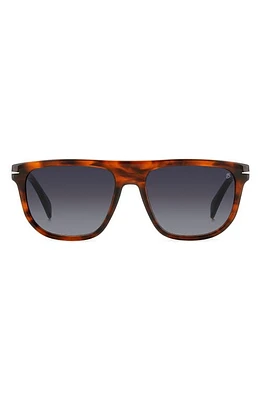 David Beckham Eyewear 56mm Square Sunglasses in Brown Horn at Nordstrom