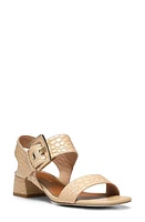 Donald Pliner Vixi Sandal at Nordstrom,