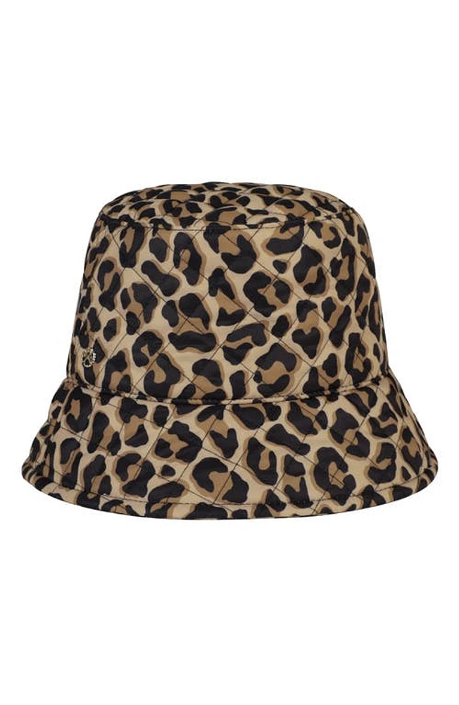 Kate Spade New York Animal Print Bucket Hat in Roasted Cashew at Nordstrom