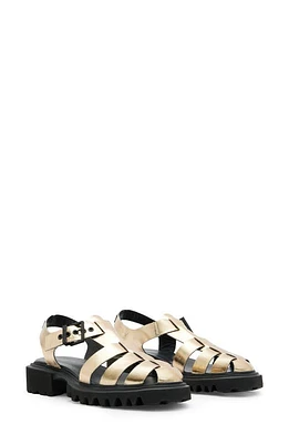 AllSaints Nessa Fisherman Sandal Metallic Gold at Nordstrom,