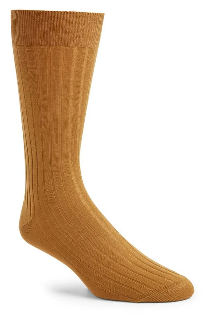 Canali Ribbed Dress Socks in Dk Beige at Nordstrom, Size Medium