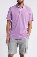 Tommy Bahama Paradiso Cove Stripe Polo at Nordstrom,