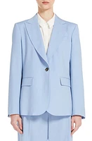 Weekend Max Mara Valda Virgin Wool Blazer in Light Blue at Nordstrom, Size 8