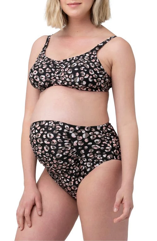 Ripe Maternity Sahara High Waist Two-Piece Maternity Swimsuit in Black at Nordstrom