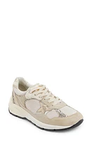 Golden Goose Running Dad Sneaker Cream/Beige at Nordstrom,