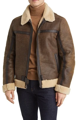 Frye Leather Jacket with Genuine Shearling Trim in Dark Brown at Nordstrom, Size Medium