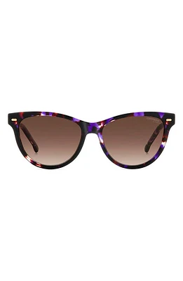 Carrera Eyewear 54mm Cat Eye Sunglasses in Violet Havana/Brown Gradient at Nordstrom