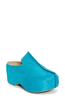 JW Anderson Genuine Calf Hair Platform Clog in Turquoise/Aqua at Nordstrom, Size 6Us