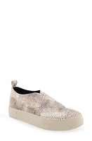 Aerosoles Brighton Slip-On Sneaker (Women at Nordstrom,