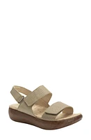 Alegria by PG Lite Baille Slingback Sandal at Nordstrom,