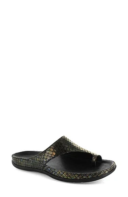 STRIVE Capri II Slide Sandal in Black Snake Print at Nordstrom, Size 5