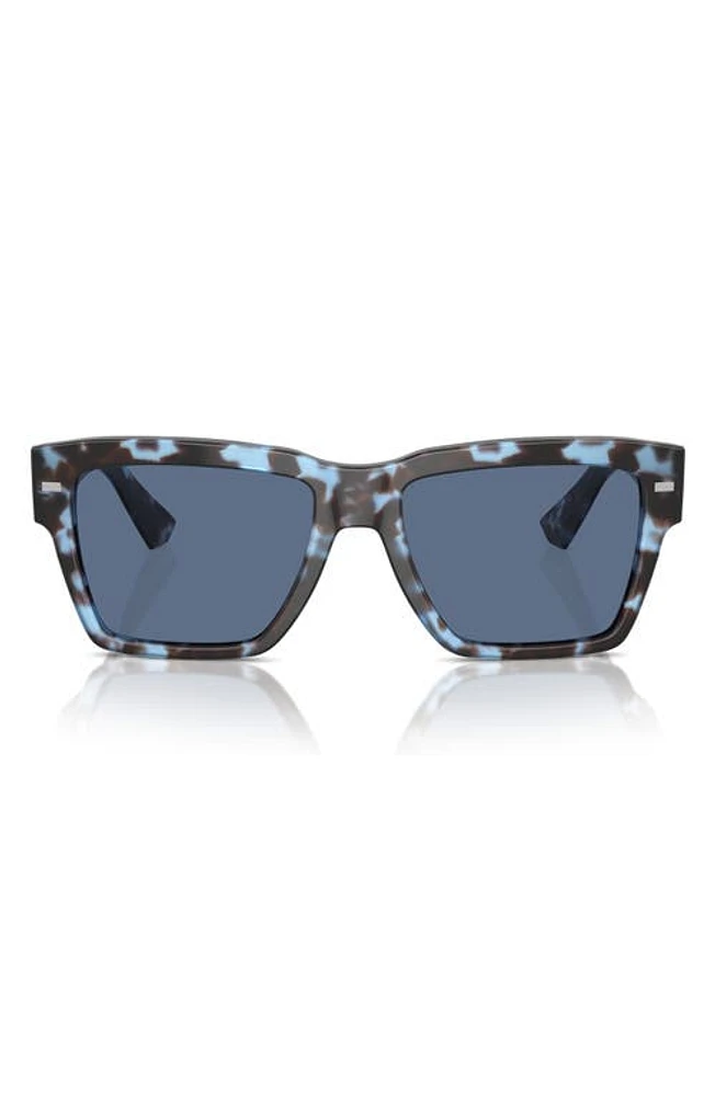 Dolce & Gabbana 55mm Square Sunglasses in Havana Blue at Nordstrom