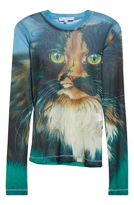 JW Anderson Digital Cat Long Sleeve Mesh Top Emerald at Nordstrom,