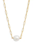 Poppy Finch Cultured Pearl Pendant Necklace in Pearl/14K Yellow Gold at Nordstrom, Size 16